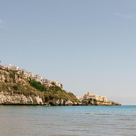 Hotel Degli Aranci ヴィエステ エクステリア 写真